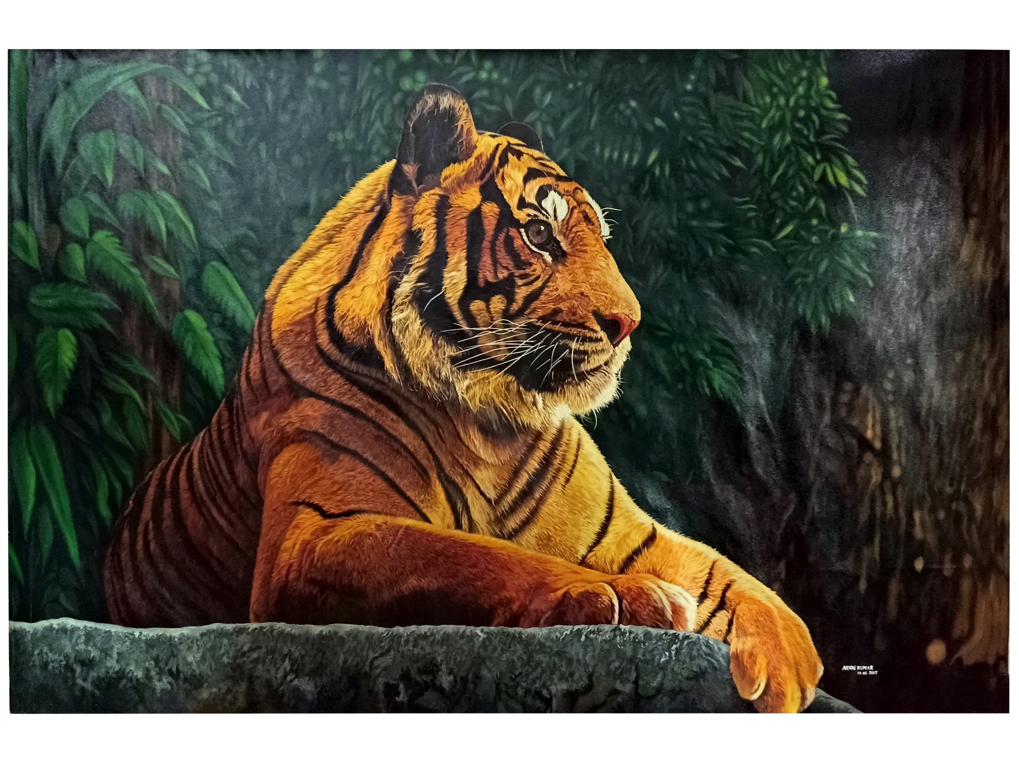 Stare of the royal bengal tiger - Constance artwork - Paintings & Prints,  Animals, Birds, & Fish, Wild Cats, Tigers - ArtPal