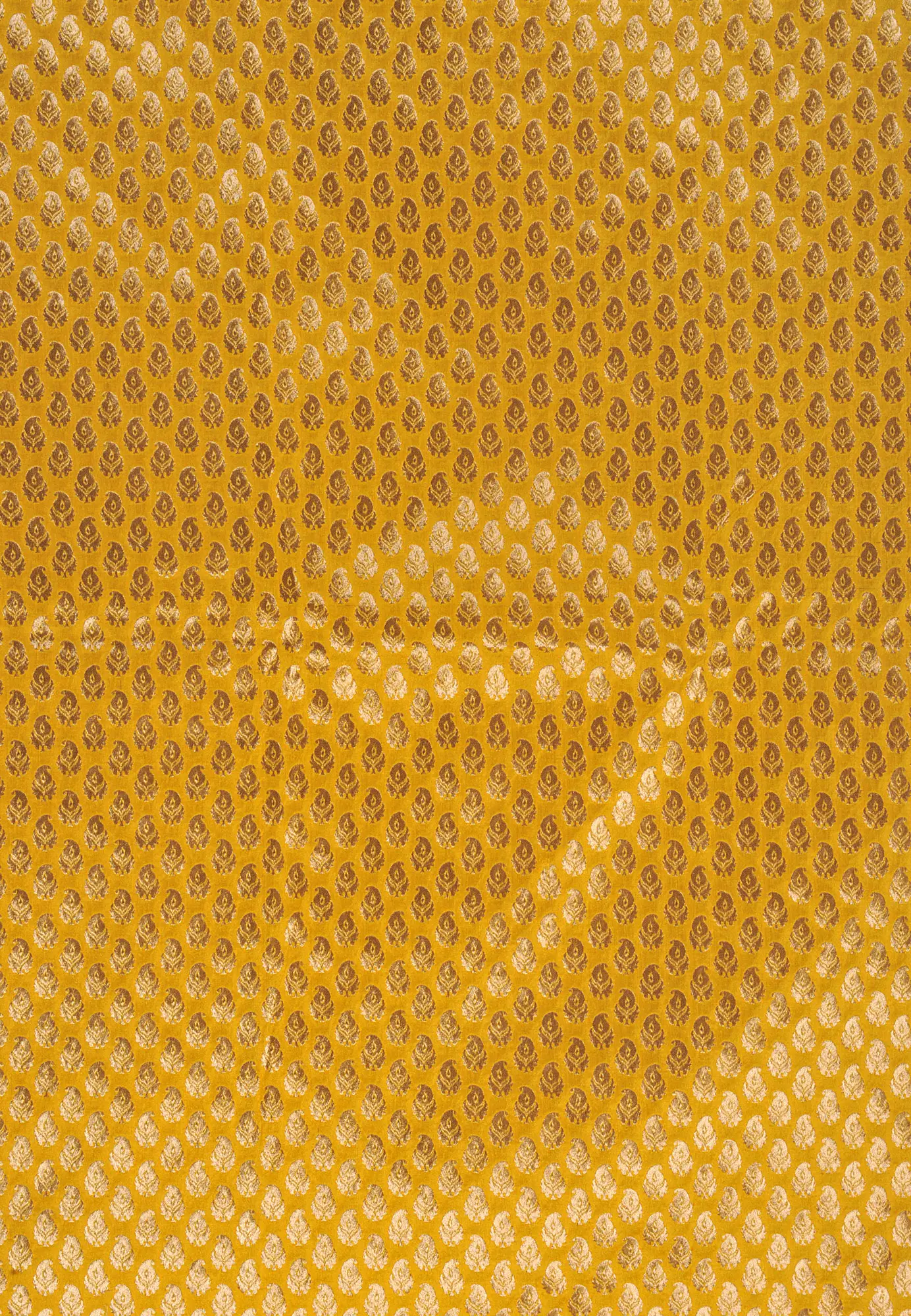 Golden-Yellow Banarasi Fabric with All-Over Woven Paisleys