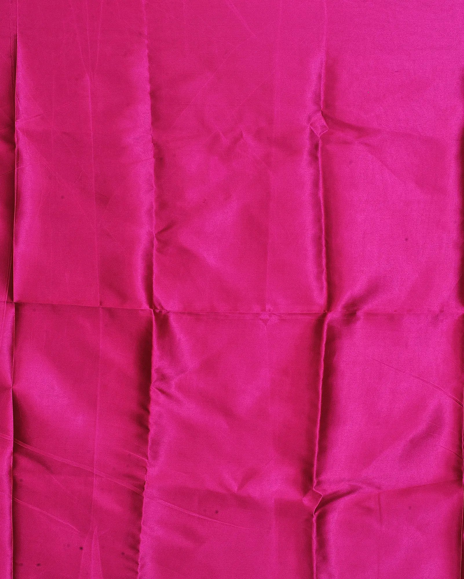 Raspberry Rose