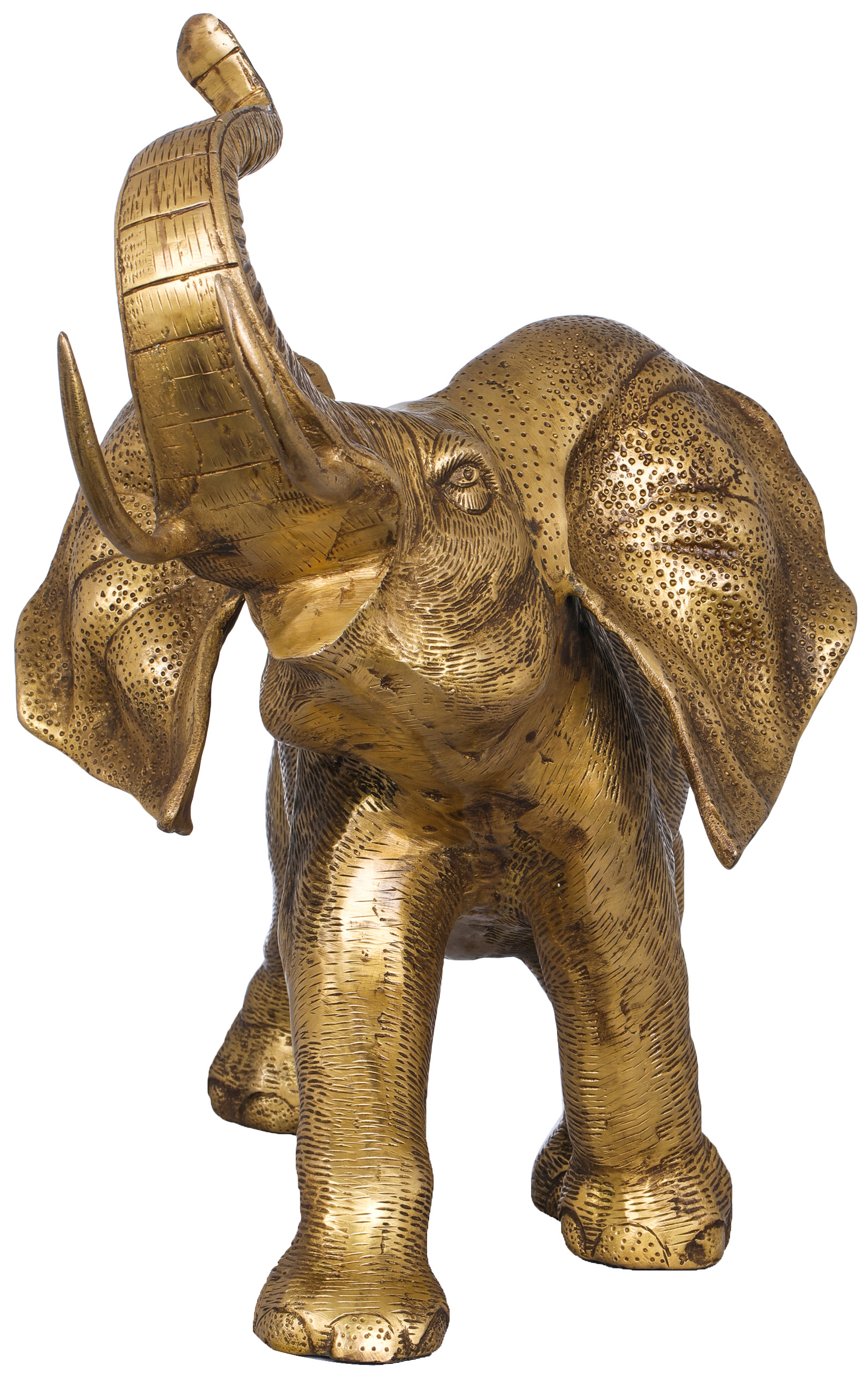 A Young Trumpeting Elephant With Long Tusks