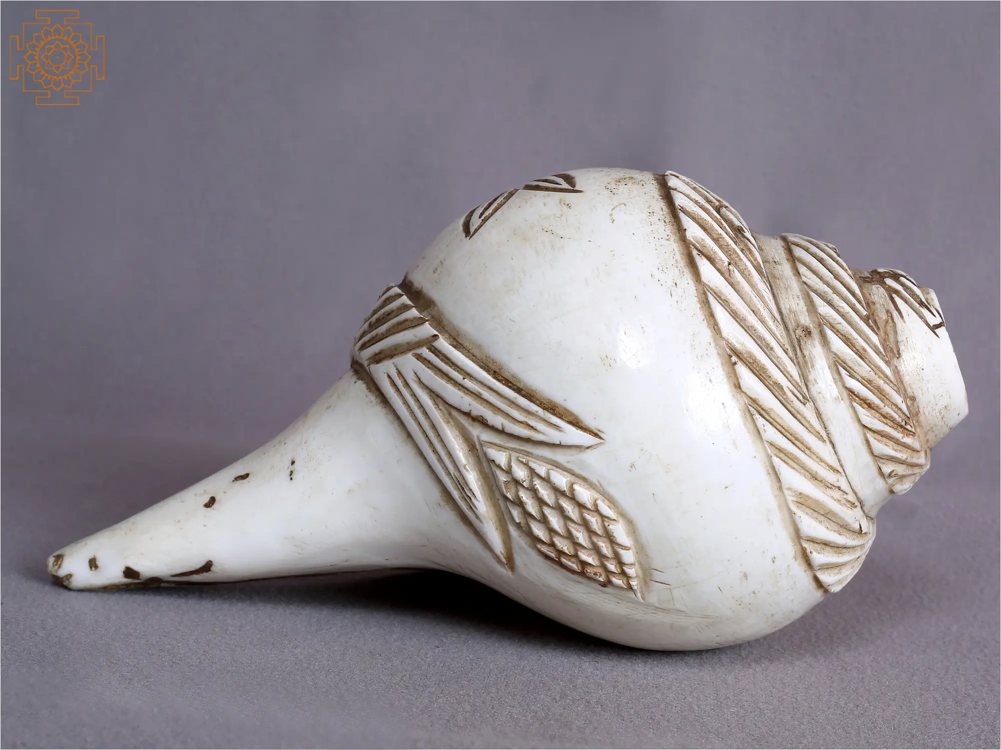 White Shankha from Nepal | Exotic India Art