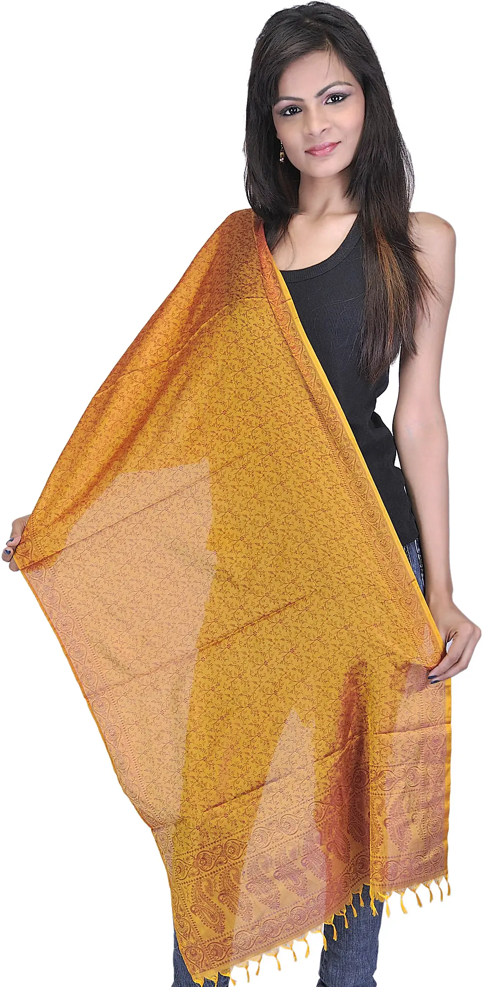 Banarasi Handloom Scarf with All-Over Tanchoi Weave