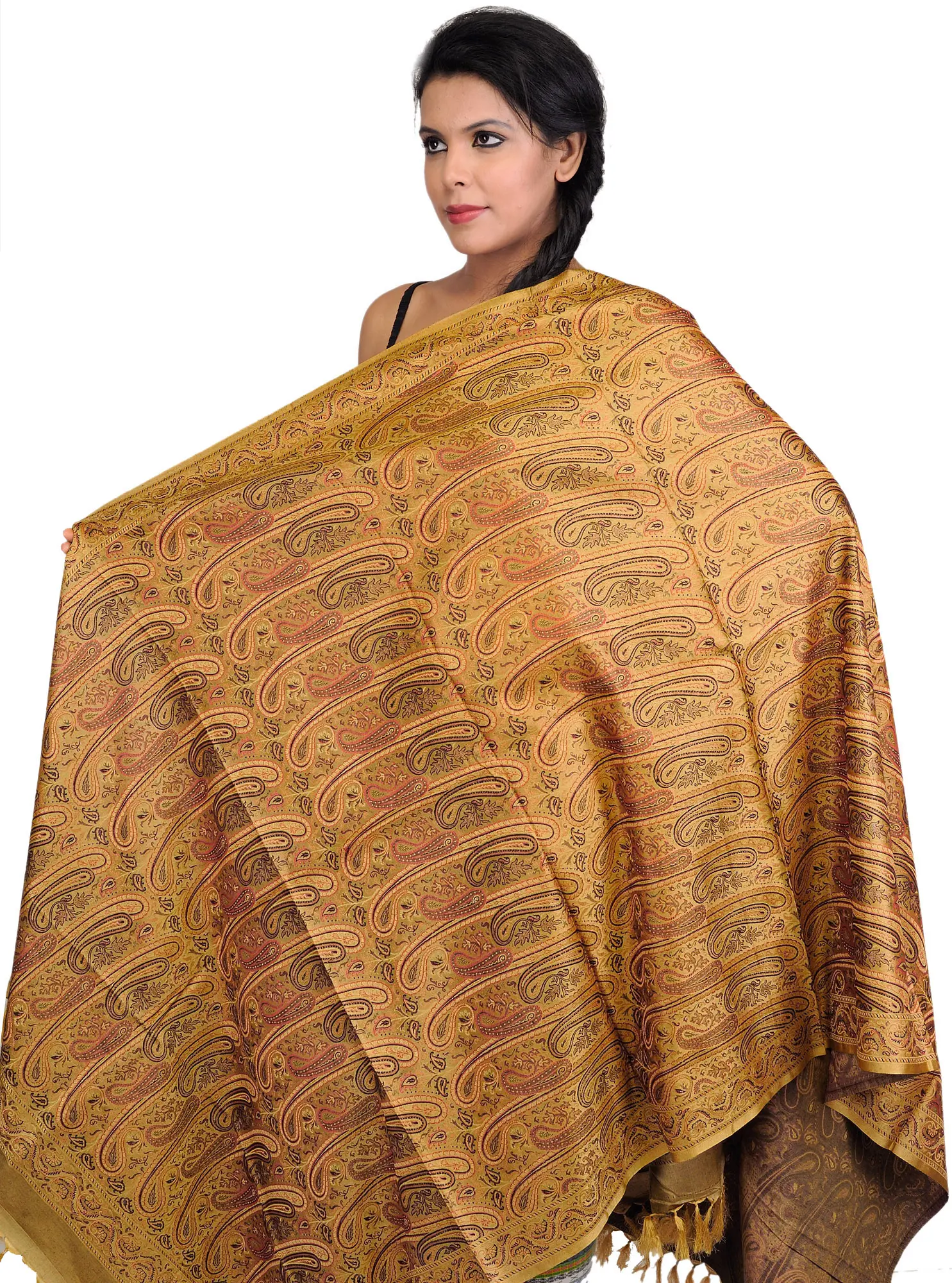 Stylized Paisley Banarasi Shawl with All-Over Weave