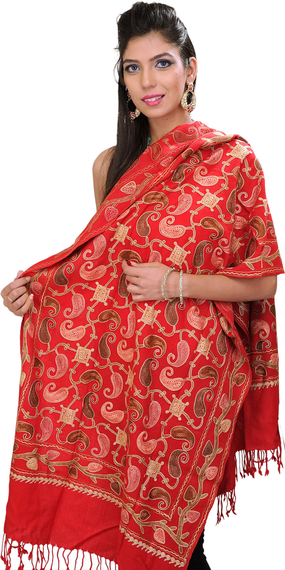 Stole from Amritsar with Aari Embroidered Paisleys All-Over