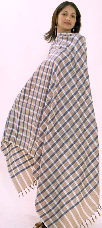 kashmiri handloom shawl