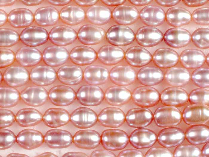 Pink Pearls Exotic India Art