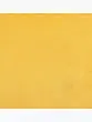 Freesia Yellow