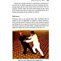 Tai Chi Fa Jin: Advanced Techniques for Discharging Chi Energy | Exotic ...