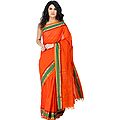 Tigerlily Orange