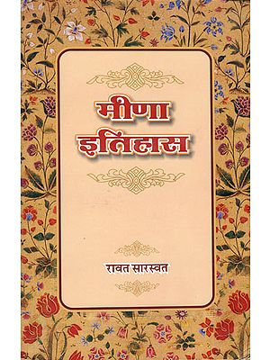 मीणा इतिहास: History of Meena