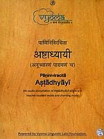 Paniniviracita Astadhyayi (Set of 2 Audio CD)