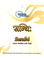 Sandhi (Learn Sandhis with Fun!!) (Audio CD)