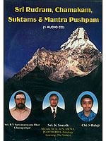 Sri Rudram, Chamakam, Suktams and Mantra Pushpam (Audio CD)