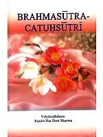 Brahmasutra-Chatushsutri: The First Four Aphorisms of Brahma Sutras along with Sankaracarya's Commentary