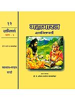 महाभारत - शान्तिपर्व (संस्कृत एवम् हिन्दी अनुवाद): Shanti Parva of Mahabharata Translated by Shripad Damodar Satwalekar (Set of 2 Volumes)