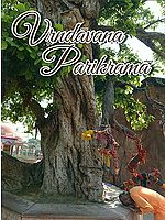 Vrndavana Parikrama