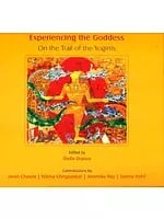 Experiencing the Goddess (On the Trail of the Yoginis)