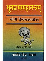 भूतडामरतन्त्रम: Bhoota Damara Tantra (An Old and Rare Book)