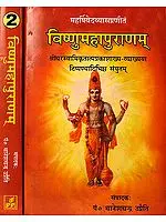 विष्णुमहापुराणम्: Vishnu Purana with the Commentary of Shridhara Swami (Set of 2 Volumes)
