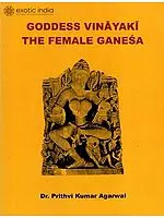 Goddess Vinayaki The Female Ganesa (Ganesha)