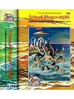 Srimad Bhagavad Gita - 2 Volumes (Sadhaka-Sanjivani (With Sanskrit Text, Transliteration, English Translation and Commentary)