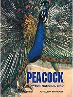 Peacock Our National Bird