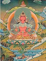 Amitayus - The Buddha of Long Life