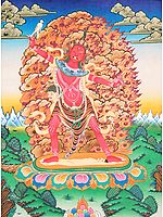 Tibetan Buddhist Yogini (Ekajati)