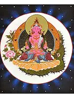 Tibetan Buddhist Deity Amitabha as Amitayus Buddha