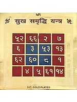 Sukha Samriddhi Yantram (Yantra of Happiness and Prosperity)