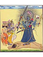Kali The Divine Mother