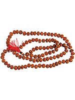 Rudraksha Mala with 108 Beads for Chanting (Mixed Color Thread)