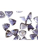 Iolite mm Trillions (Price Per 5 Pieces)