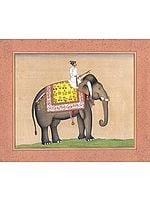 An Elephant from the Royal Stables