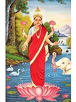 Goddess Lakshmi with Auspicious Elephant