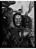 Lord Shiva with Nandi | Graphite and Charcoal Art | By Bhuban Mohanty