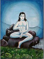 Saints of India - Shukradeva