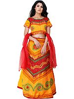 Lehenga Choli from Rajasthan with Thread Embroidery and Large Sequins