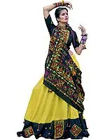 Celery and Black Garba Lehenga Choli from Gujarat with Floral Hand-Embroidery and Mirrors
