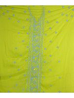 Lime Green Chikan Embroidered Salwar Kameez Fabric from Lucknow with Beadwork