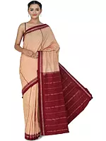 Pastry Shell Handloom Sare from Sambalpur with Border and Ikat Weave on Pallu