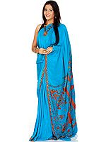 Algiers Blue Sari from Kashmir with Sozni Work