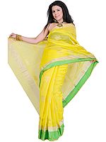 Empire-Yellow Chanderi Saree with Hand-woven Lotuses in Golden Zari Thread