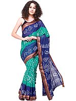 Bandhani Tie-Dye Sari from Gujarat with Zari-Woven Border