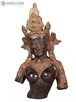 13" Goddess Tara Bust in Brass