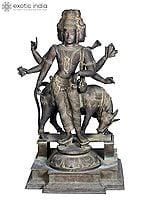50'' Large Dattatreya with Kamadhenu | Madhuchista Vidhana (Lost-Wax) | Panchaloha Bronze from Swamimalai (Shipped by Sea)