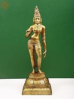 23" Devi (The Manifestation of Primordial Female Energy) In Brass