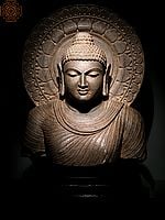 23" Black Stone Shakyamuni Buddha Bust on Wooden Base