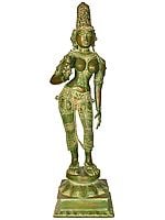 29" Standing Goddess Parvati Brass Statue | Large Size Uma Shivakamasundari Idol