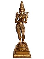 51" Large Size  Dwara-Devi (The Celestial Doorkeeper Flanking Temple Doors) In Brass | Handmade | Made In India